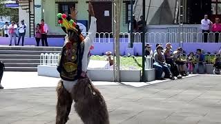 Danza tipica en la mitad del mundo quotEl Diablo Humaquot [upl. by Auohc]