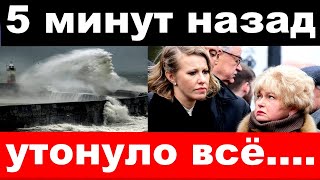 5 минут назад  утонуло всё  чп семья Собчак [upl. by Dirraj]