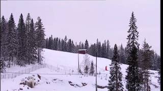 Biathlon Long Distance Standing  Sollefteå 2013 IPC Nordic Skiing World Championships [upl. by Ahtabbat]