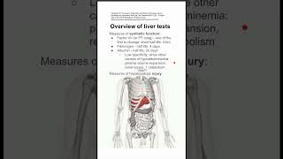 Overview of liver tests [upl. by Campball]