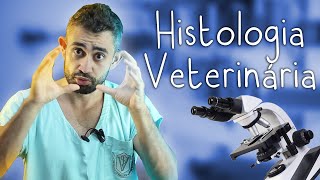 Histologia  Disciplinas da Vet 2 [upl. by Nolita]