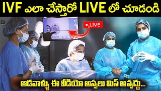 IVF ఎలా చేస్తారో LIVE లో చూడండి  IVF Step By Step Procedure  Dr Jyothi Fertility Expert  SumanTV [upl. by Lever]