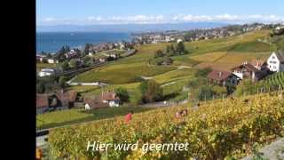 Die Terrassen des Lavaux  30 Okt 2013 [upl. by Amadis]