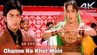 60 FPS Channe Ke Khet Mein  ANJAAM 1994  4K Remastered  HiRes FLAC  Madhuri Dixit  Shahrukh [upl. by Ponzo66]