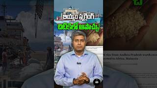 బియ్యం స్మగ్లింగ్ చిటికెలో ఆపొచ్చు  Nalamotu Chakravarthy [upl. by Alekehs]