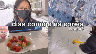 dias comigo na coreia vlog 8 🇰🇷  muita neve escola academia comida etc [upl. by Aicat]