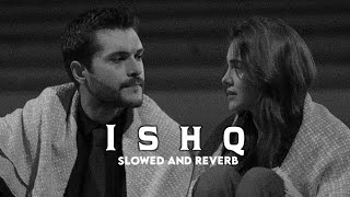 Ishq Lost  Found Slowed And Reverb [upl. by Thorman]