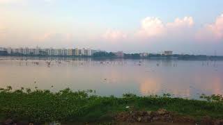 Pallikaranai Wetland  Chennai Marshland Bird Watching Site [upl. by Longmire]