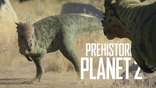 Prehistoric Planet 2  Pachycephalosaurus Rut Scene [upl. by Acinemod581]