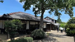 Japan Live🇯🇵Island Park Village Nokonoshima 🇯🇵Fukuoka Japan [upl. by Naryb227]