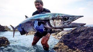 Rock Fishing on Steroids Monster fish solo [upl. by Dressler]