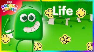 Green Means Life 🟢 Green compilation  Colours for Kids  colourblocks [upl. by Jacey]