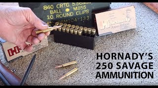 Hornadys New Loading for the 250 Savage Tested in a Vintage Savage Model 99 [upl. by Ause]