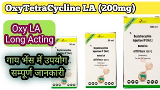 Oxy LA Injection  OxyTetraCycline 200mg Use In Cattle in hindi [upl. by Baoj]