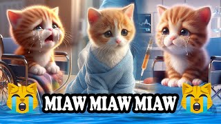 Miaw miaw miaw miaw song sad tiktok 2024 [upl. by Hewes907]