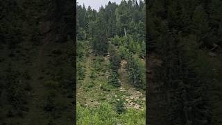 Gila Shina Song Rain In Mountain gila mountains naran kaghanvalley gbsongs gb [upl. by Brine250]