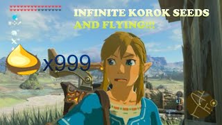 INFINITE KOROK SEEDS AND FLYING  Breath of the Wild Moon Jump and Korok Seed Glitch Tutorial [upl. by Shiff]