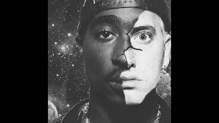 313  Eminem amp 2Pac  prod Holow [upl. by Nalro]