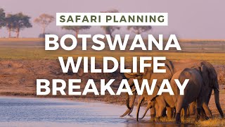 Botswana Wildlife Breakaway [upl. by Lertram]