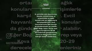 YAY BURCU  16 KASIM URANÜSYEN BOĞA DOLUNAYI astroloji burçyorumları [upl. by Yvonne]