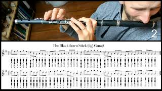 Tuto Irish Flute  The Blackthorn Stick Jig Gmaj [upl. by Sonya]