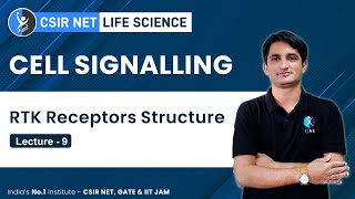 Receptor Tyrosine Kinases Structure And Activation  CSIR NET Life Science [upl. by Griswold99]