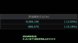 投資で日本株史上最大の歴史的大暴落を直撃した【ただの愚痴】 [upl. by Aleetha]