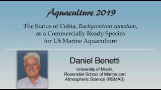 Daniel Benetti Cobia Rachycentron canadum Aquaculture [upl. by Mcnutt]