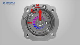 Eckerle Ringpumpe 4K HD [upl. by Ozkum]