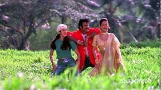 Pavithra Prema movie songs  Goo Gumma Goo song  Balakrishna Laila Roshini [upl. by Htims]