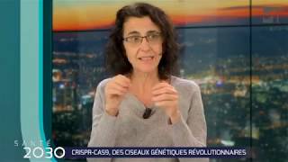 CRISPRCas9 des ciseaux génétiques révolutionnaires [upl. by Odragde]