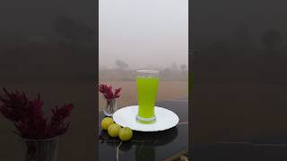 Glow Naturally with Amla Juice I Amla Juice Recipe 🍹💚 amlajuice amla shorts recipe amlakefayde [upl. by Ahsinrats]