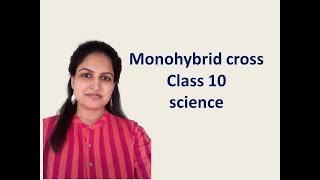 Monohybrid cross CLASS 10 SCIENCE [upl. by Meuser]