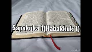 Tusi Paia Samoa  Feagaiga Tuai Sapakuka 1 Old Testament Habakkuk 1 [upl. by Shipman747]