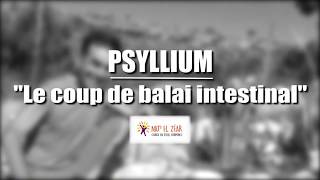 Le Psyllium pour un bon nettoyage intestinal [upl. by Aikemat]