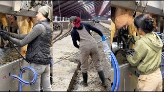 Girls on a Modern Farm  Compilation 8  Milking Cows  Trimming Hoof  Cleaning Cowshed  Tractors [upl. by Eladnar]