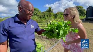 Galley Bay Resort amp Spa — FarmtoTable Garden [upl. by Wei]