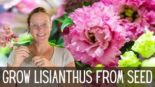 Growing Lisianthus  An Easy How To Guide 🌺🌺🌺  Growing Lisianthus From Seed  Cut Flower Garden [upl. by Valer]