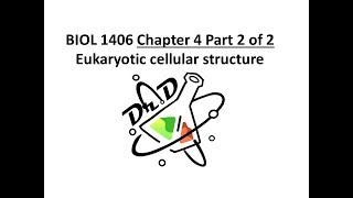 Chapter 4 part 2 of 2 Cell Structure [upl. by Spiro352]