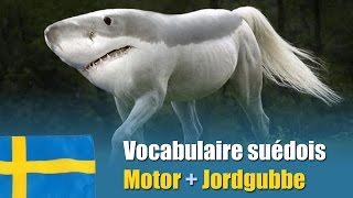 Konstiga Kombinationer  Vocabulaire suédois  Motor  Jordgubbe [upl. by Bodnar722]