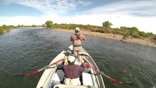 Fly fishing the middle Limay River  Limay River Lodge [upl. by Drolet]