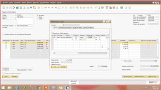 Gestión de Bancos Pagos Efectuados  Sap Business One [upl. by Catriona]