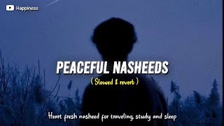 5 Soul healing Nasheeds  Slowed amp reverb  Happiness [upl. by Blount450]