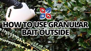 DIY Home Pest Control Made EASY with Perimeter Granular Insect Bait [upl. by Amaerd991]