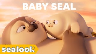 CUTENESS EXPLOSION  Baby Seal Special  SEALOOK  Episodes Compilation [upl. by Nyvar]