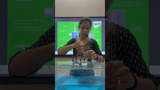 Chloralkali Process ll learningscience education educationalexperiments scienceforkids stem [upl. by Odnalo913]