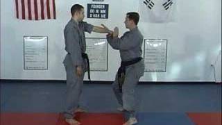 Hapkido  Basic Wrist Grab  Arm Bar Defense  Part 2 [upl. by Neville548]