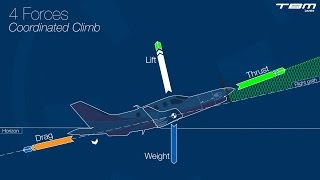 Principles of flight – Part 1  Fundamentals [upl. by Norma]