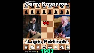 The Art of Chess A Masterclass from Kasparov and Portisch [upl. by Searcy303]