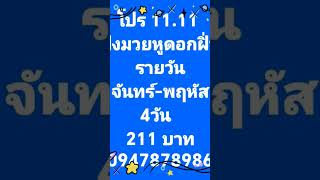 12 พฤศจิกายน คศ 2024 [upl. by Waiter]